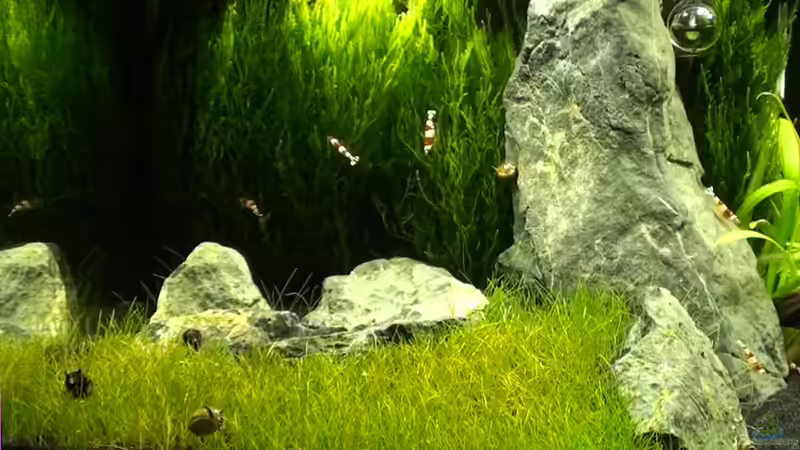 30.11.2010 von Maik A. (15)