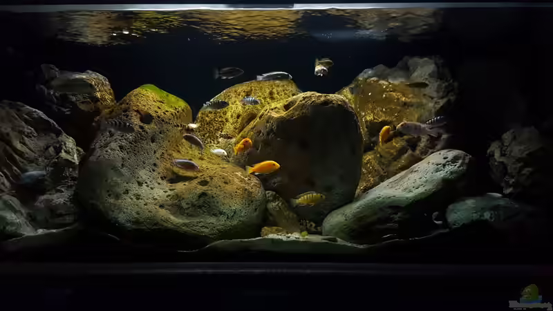 30.12.  von Mel (14)