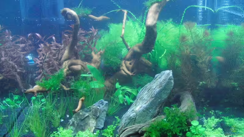 30.12.10 von Bjarke (3)