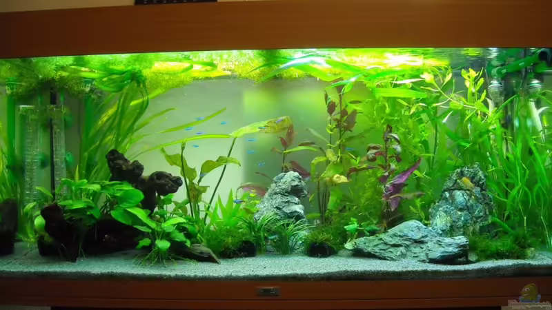 30.12.10 von Fabian Ber (7)