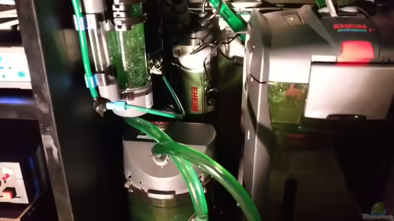 30.12.15 neuen Filterkreislauf installiert (noch provisorisch) von foxi (33)