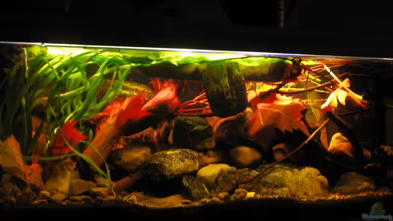 30.12.2013 schräg von rechts nach links von der Theoretiker (14)