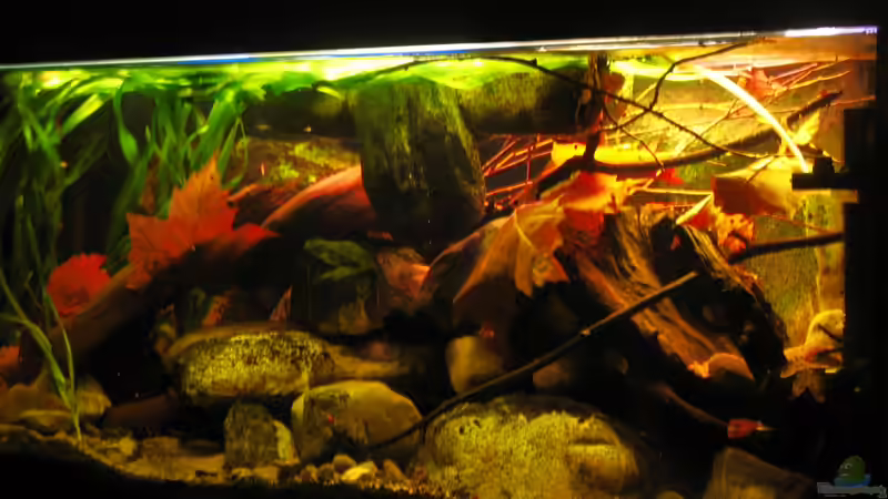 30.12.2013 schräg von rechts nach links von der Theoretiker (17)