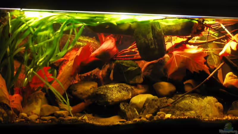 30.12.2013 von der Theoretiker (13)