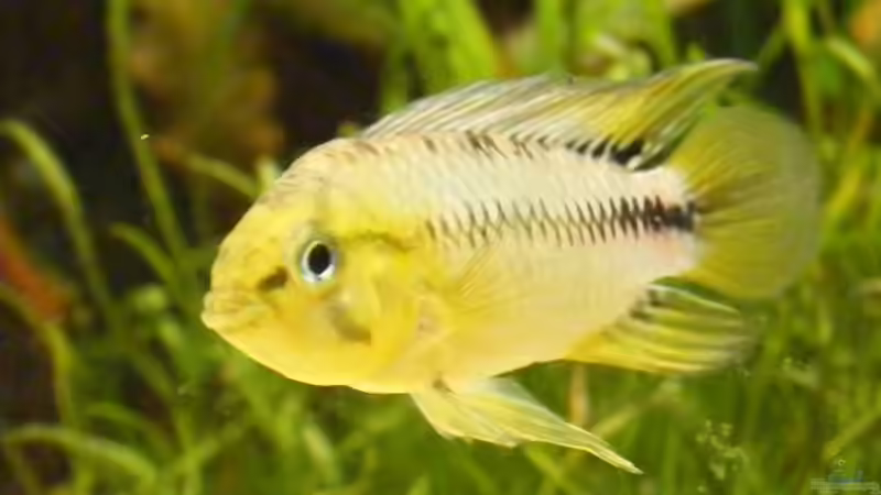 30.3.09 von Krätzchen (28)