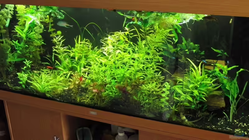 30.5.2010 von Microsash (5)