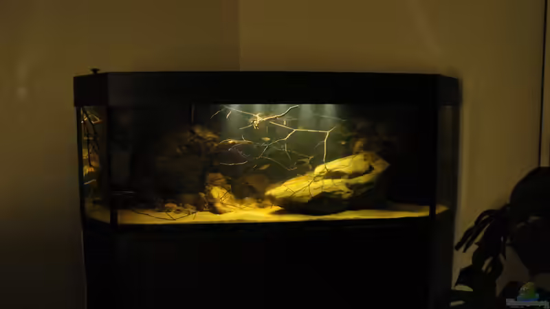 30.8.14 von Laura (25)