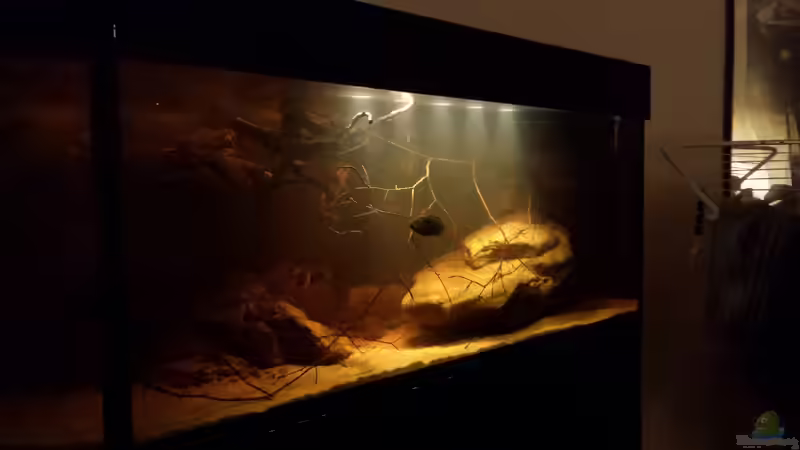 30.8.2014 von Laura (24)