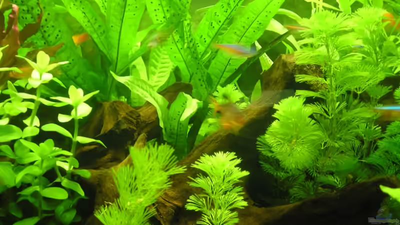 30.9.2006 von 22345bf45345 (2)