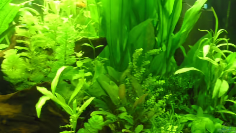 30.9.2006 von 22345bf45345 (4)