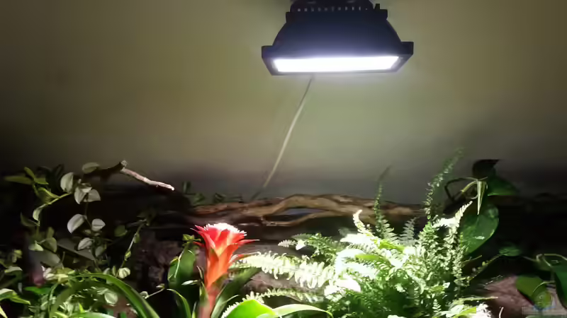 30 Watt Led warmweiss von Sebastian Müller (40)