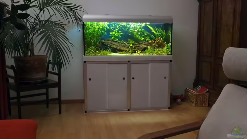 300 Liter Amazonas 8.2009 von smily (1)