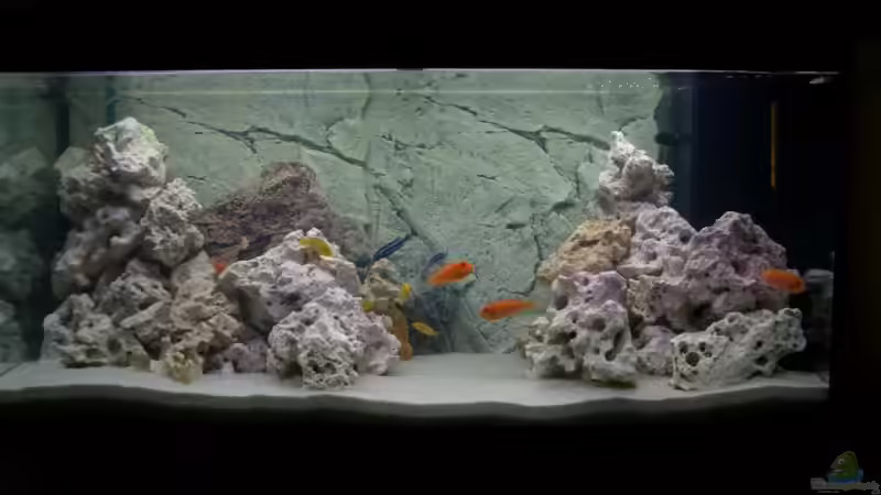 300 Liter Aquarium Rio 300 von Juwel von Kai Verholen (1)