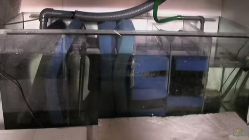 300 Liter Filterbecken mit Wasserwechselautomatik von Georg Seidl (6)