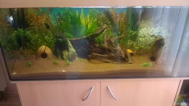 300 Liter Südamerika von Alexander Alexander (1)