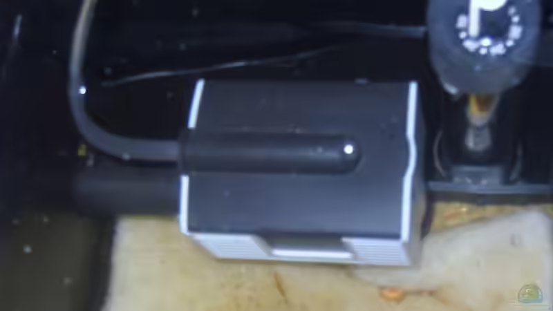 300 Watt heizer und Juwelfilter Jumbo mit 1500 l/h Pumpenkopf von Kai Jipp (5)