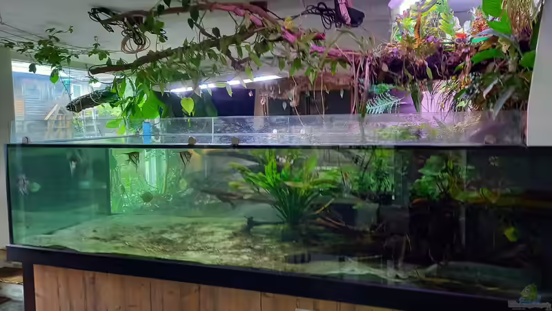 3000 liter-becken  von Daniel Mayer (8)