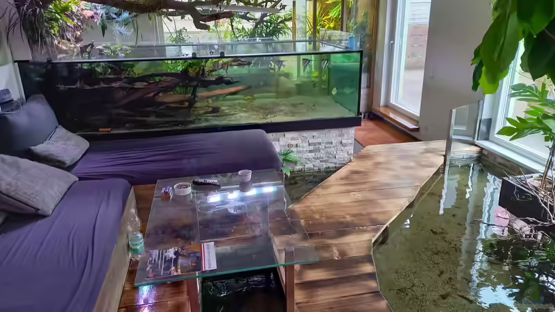 3000 liter-becken mit dem Biotop verbunden über den Filter unter dem Becken und der Filterung unter der Couch.  von Daniel Mayer (2)