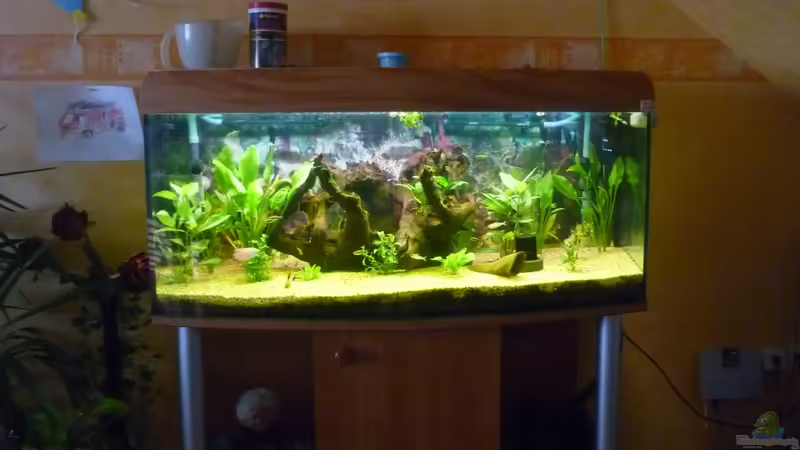 300L Becken. von Lars Gumpricht (1)