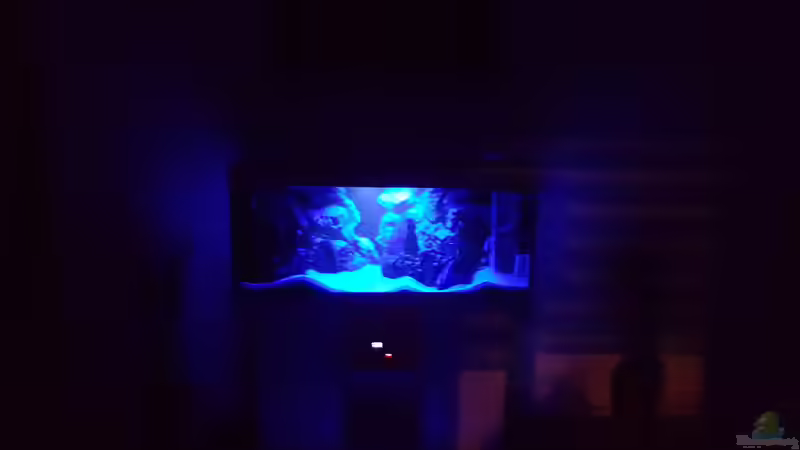 30cm Blue bei ca 50% Lichtleistung von Chrille1904 (6)