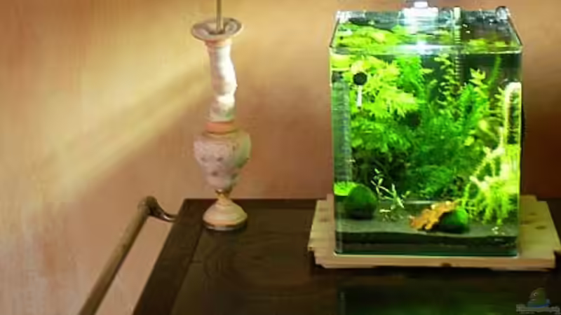 30L von Minifisch (2)