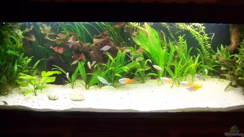 31. Oktober 2013 von Peter Walenciak (15)