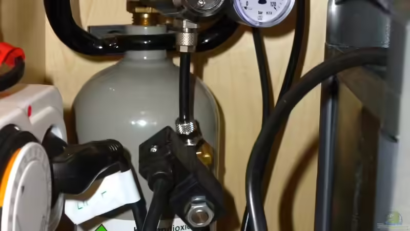 31.01.13 ~ CO2-Anlage von Quyrill (33)