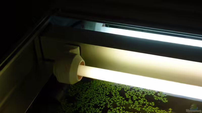 31.01.13 ~ vorne 865 / hinten 840 von Quyrill (31)