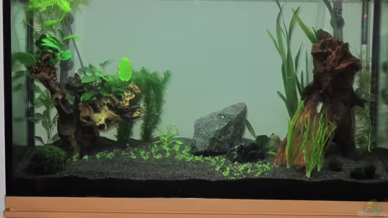 31.01.13 von Tanja (3)