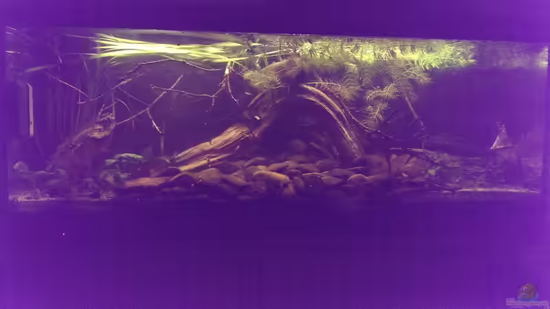 31.01.14 von Niklas125 (5)