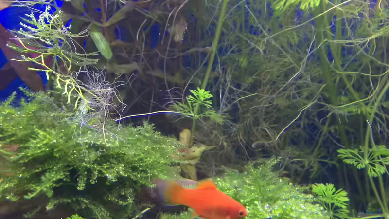 31.01.16 von .Andreas. (123)