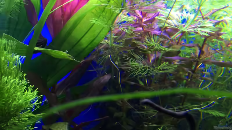 31.01.16 von .Andreas. (44)