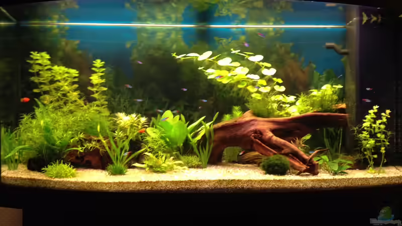 31.01.2014 von Oskar (5)