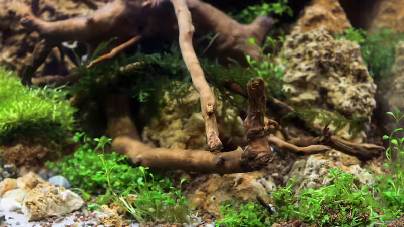 31.01.2015 von SouthAmerica (12)