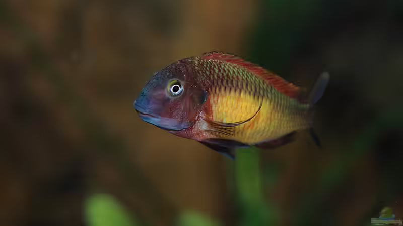 31.03.2012 von Keule73 (10)