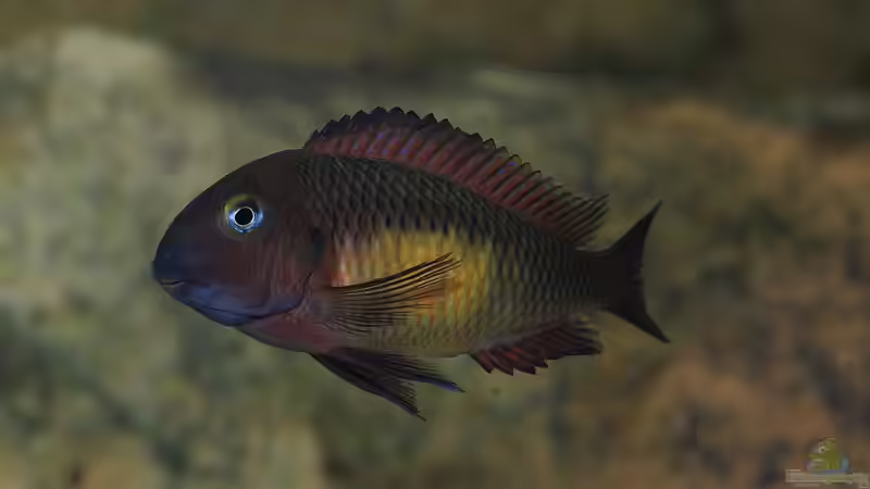 31.03.2012 von Keule73 (11)