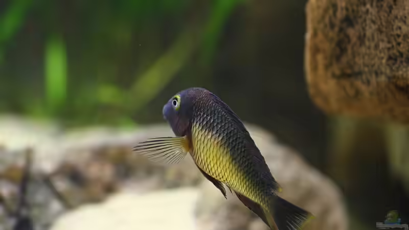 31.03.2012 von Keule73 (32)