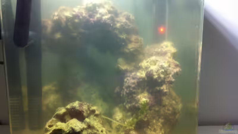 31.03.2012 von Sebastian Philipp (7)