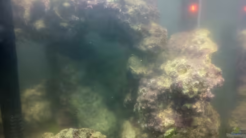 31.03.2012 von Sebastian Philipp (8)