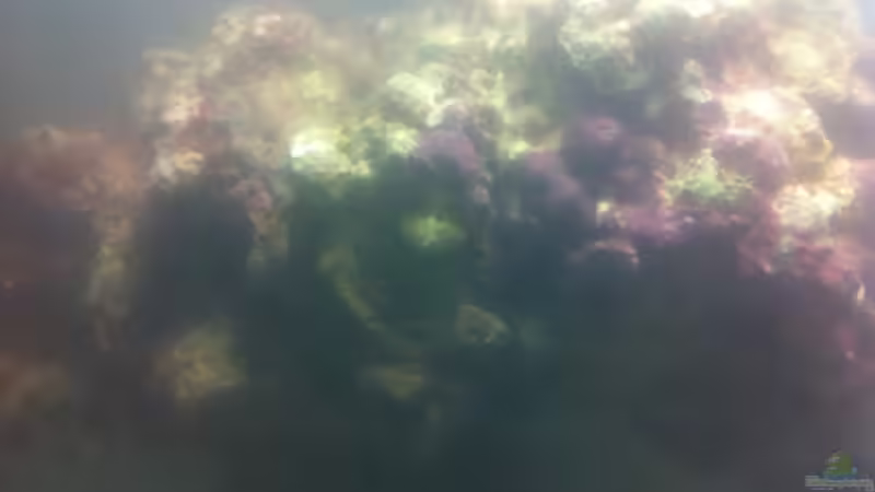 31.03.2012 von Sebastian Philipp (9)