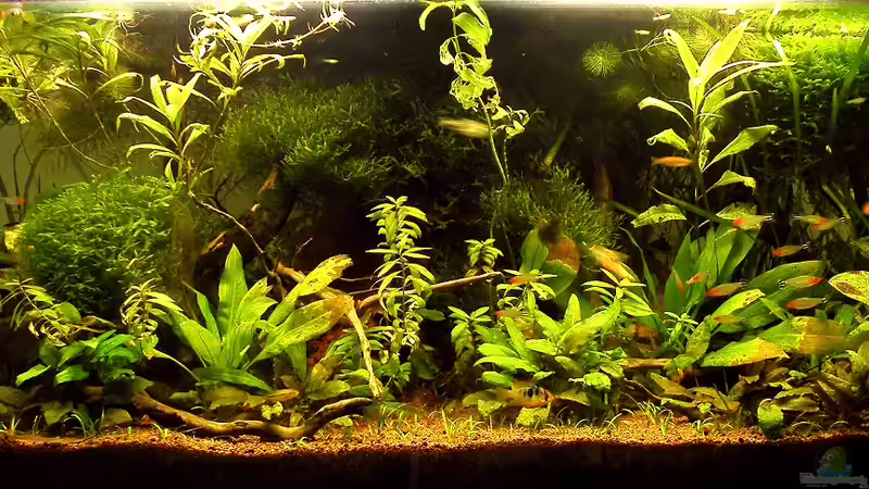 31.05.2012 - Gesamtansicht