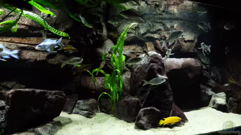 31.05.2013: Beleuchtung auf LED umgestellt von Georg Botz (2)