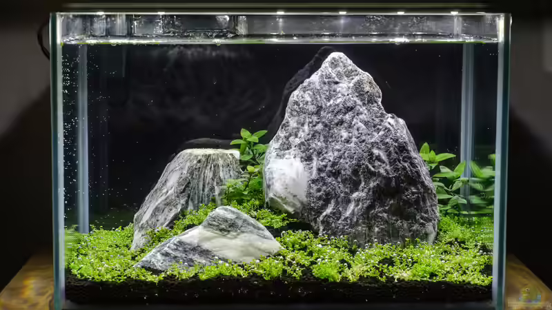 31.05.2014 - drei Wochen nach dem Start; direkt nach dem Befüllen von Julian H. (5)