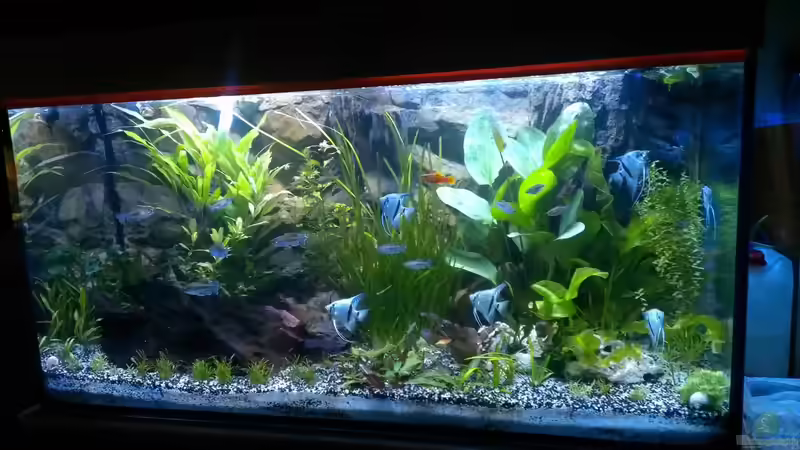 31.05.2014 von raubsau (26)