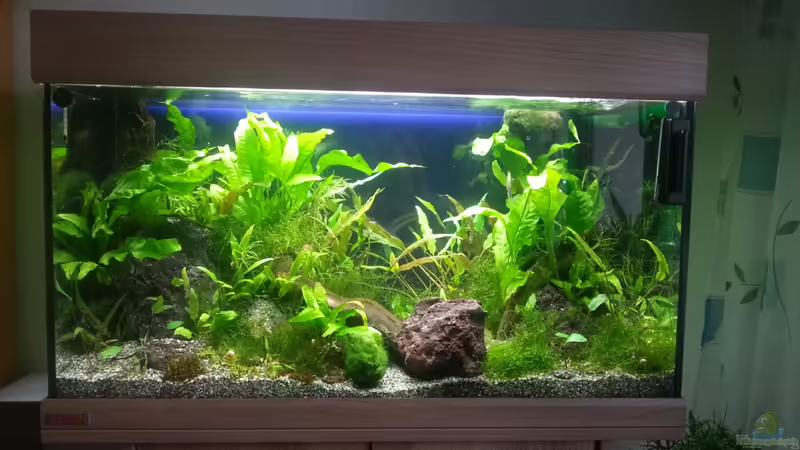 31.08.2013  von Melanie (5)