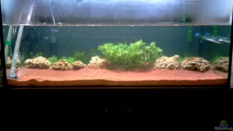 31.09.2010 Becken bei der Einrichtung von TOMXY (2)