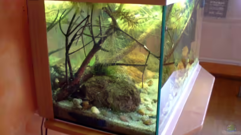 31.10.08 von timme (5)