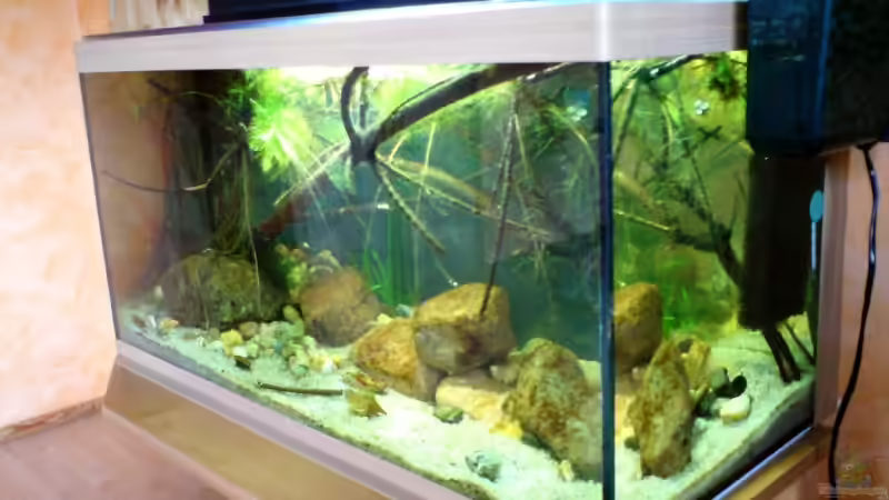 31.10.08 von timme (6)