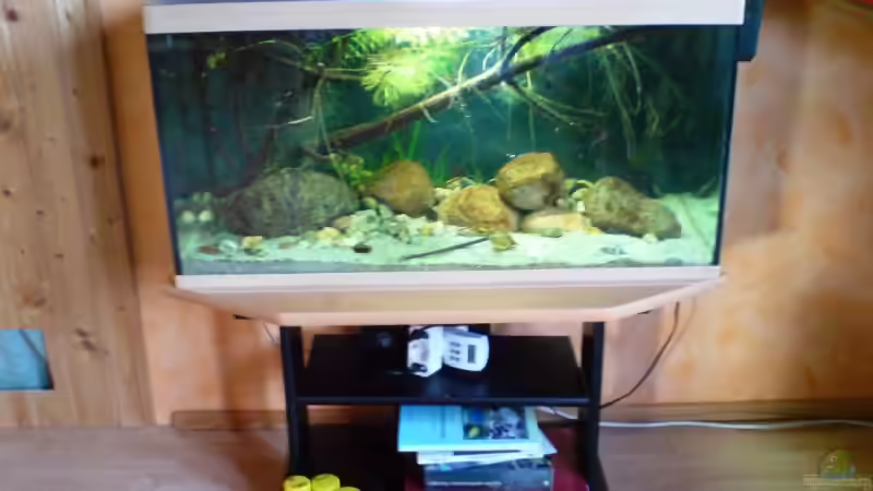 31.10.08 von timme (7)