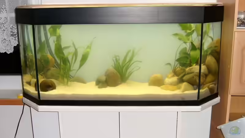 31.10.2009 mit Wasser von Kleene69 (5)